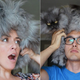 Illustration for article titled Are Cat Hairdos the New Cat Bearding?